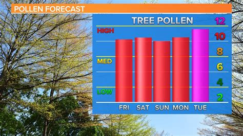 current eugene pollen count